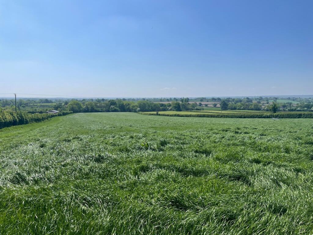 Additional image 9 of Withial, East Pennard, BA4