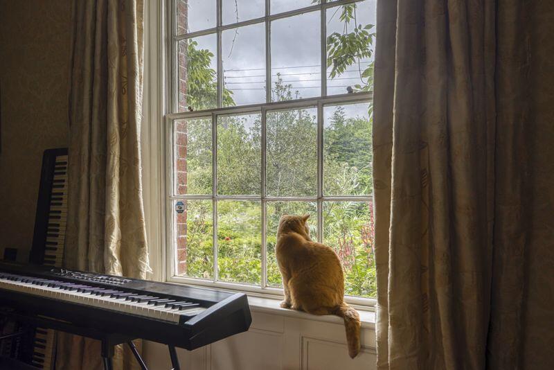 Additional image 10 of Newtown, West Pennard