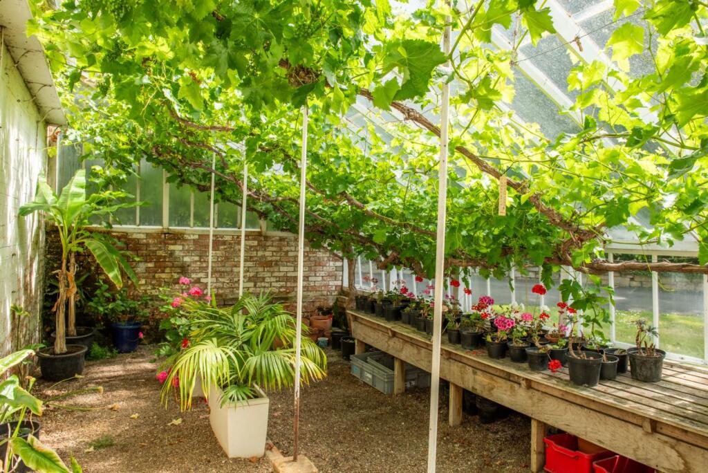 Additional image 30 of Thorne, Somerset