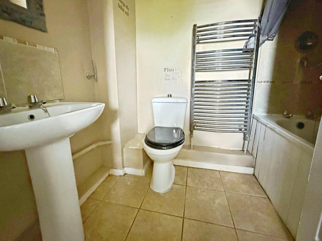 Additional image 10 of Sorrel, Tamworth