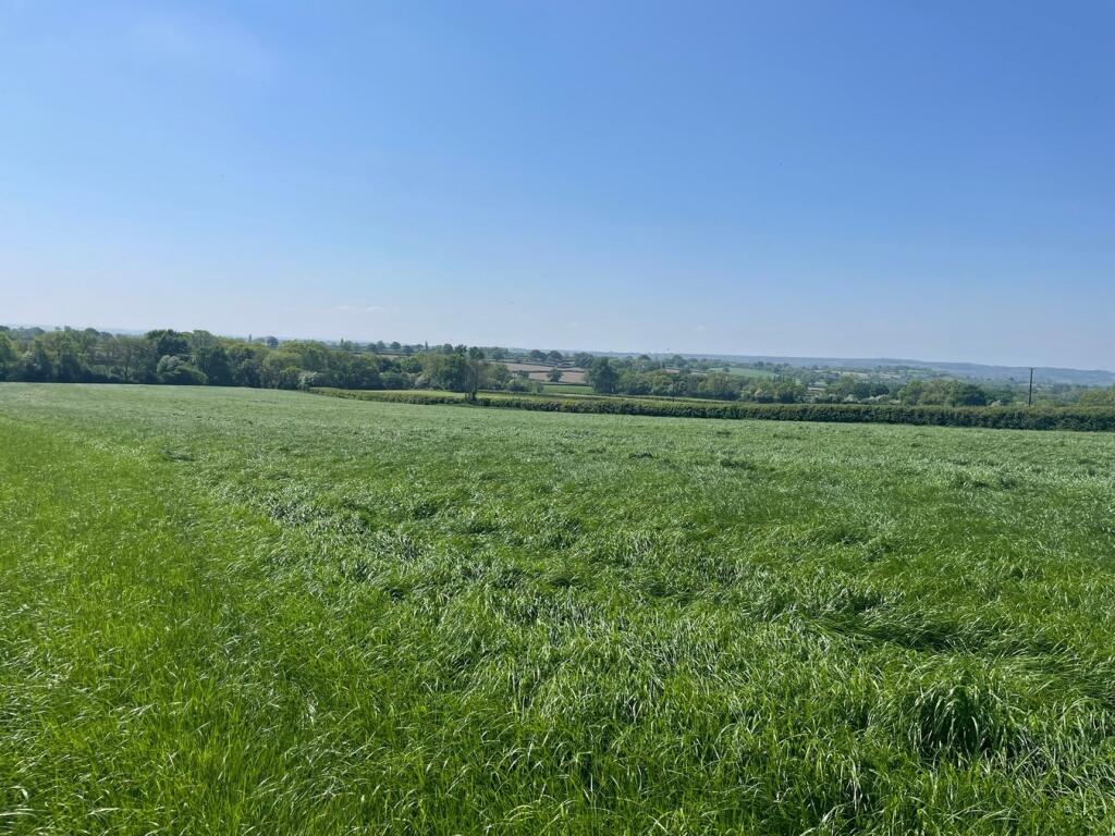 Additional image 3 of Withial, East Pennard, BA4