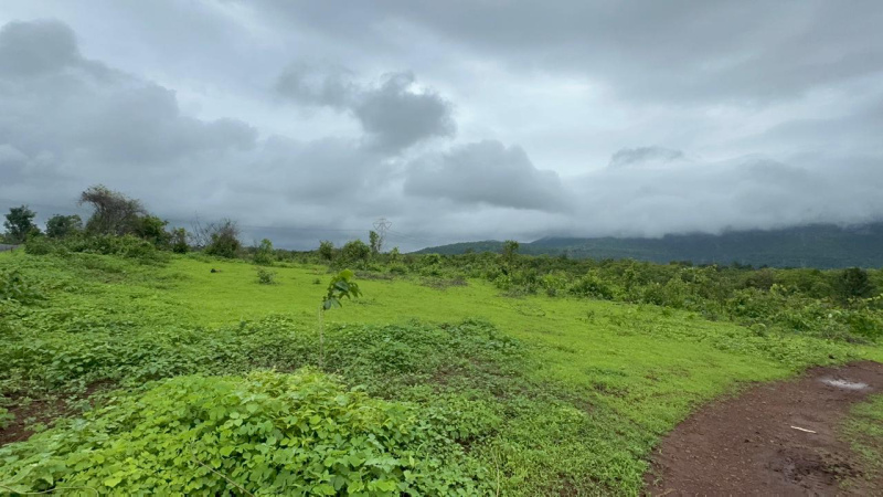 Additional image 3 of Mumbai Beyond Thane, Mumbai