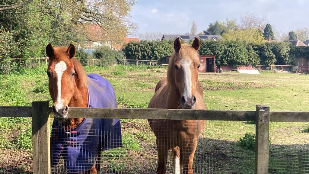 Additional image 18 of Ollison Drive, Streetly, Sutton Coldfield