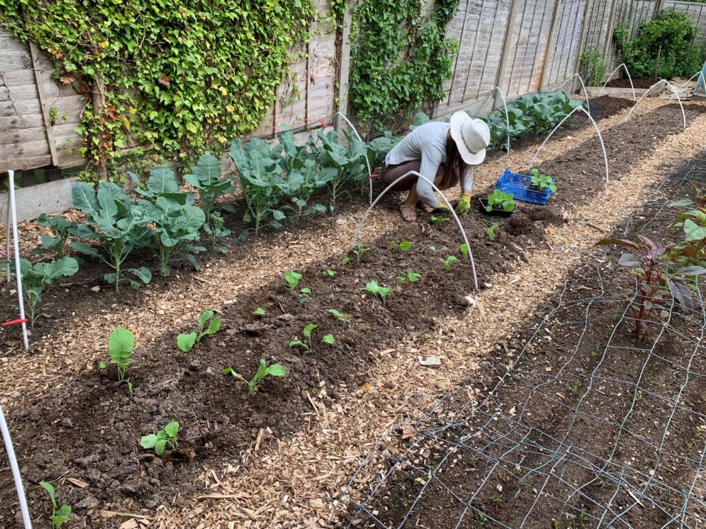 Additional image 41 of Earlswood WEST MIDLANDS