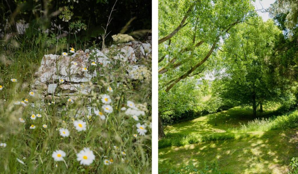 Additional image 29 of Frome, Somerset