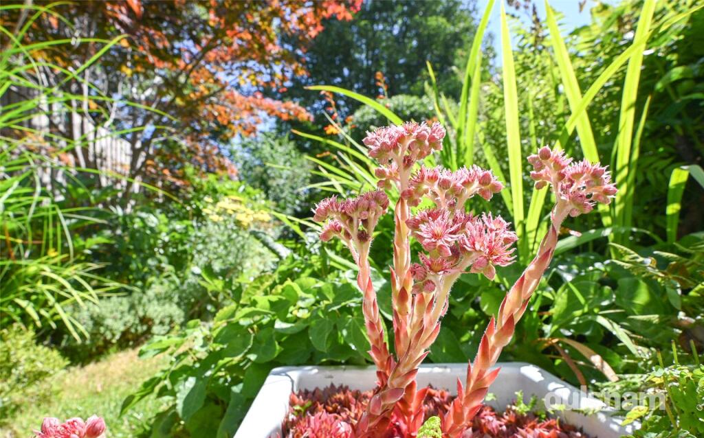 Additional image 31 of Milcote Road, Bearwood, West Midlands, B67