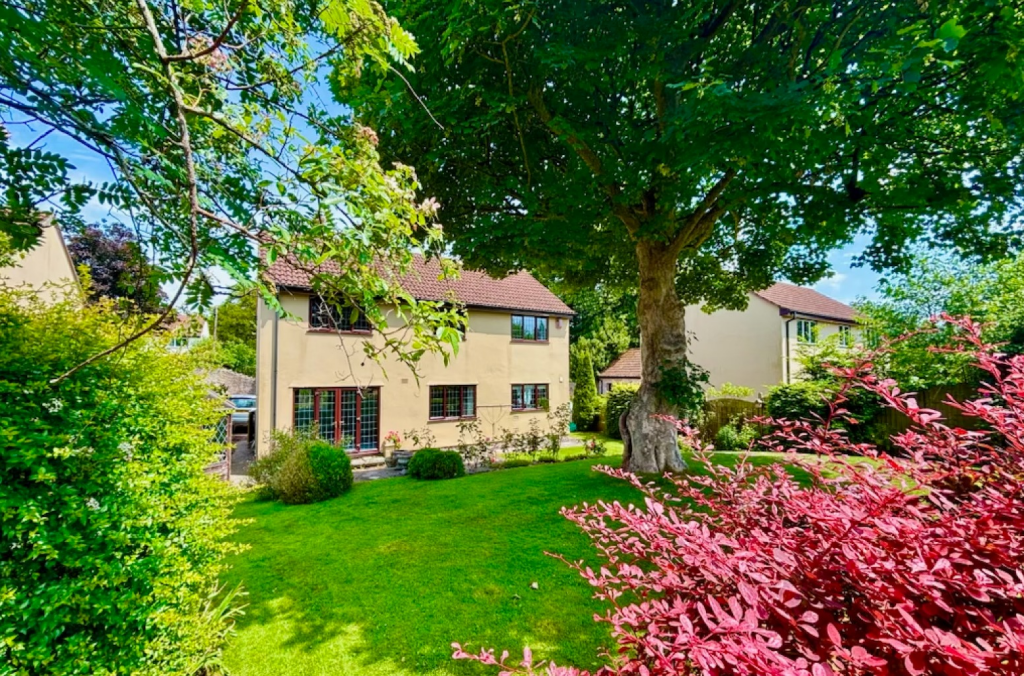 Additional image 19 of Central Wells