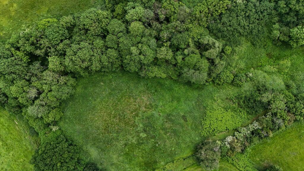 Additional image 35 of Tadhill, Leigh Upon Mendip