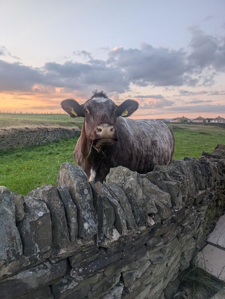 Additional image 19 of Alton Croft, Clayton, Bradford