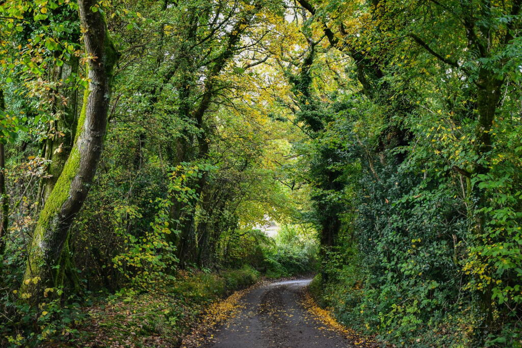 Additional image 11 of The Executive Barn, Cookswood