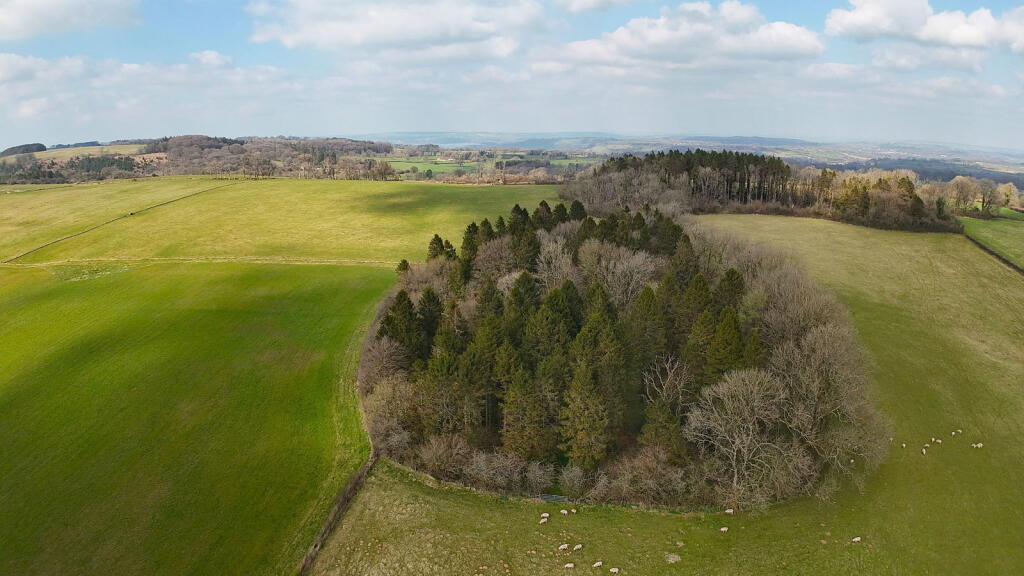 Additional image 42 of The Wrangles, Green Ore, Wells, BA5 3ET