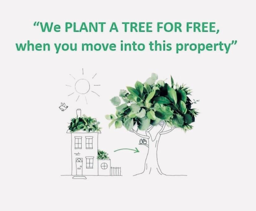 Additional image 10 of Mercia Close,B60