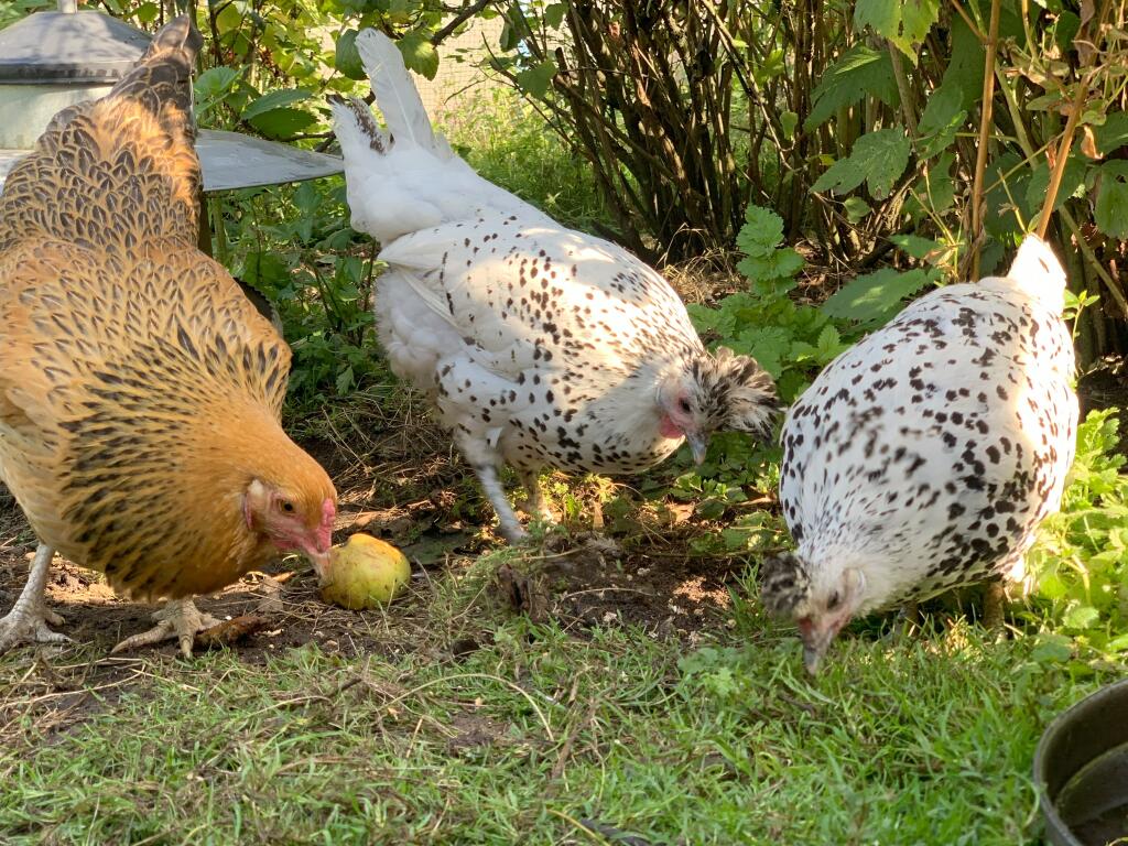 Additional image 10 of Earlswood WEST MIDLANDS