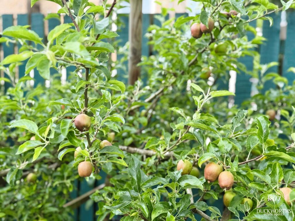 Additional image 15 of Wellfield Drive, Burnley, BB12