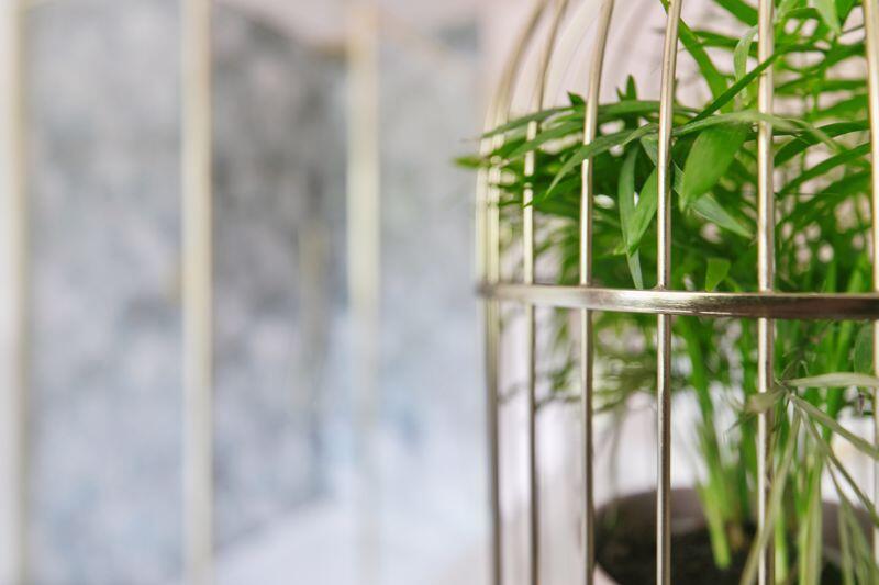 Additional image 33 of Long Lane, Harden