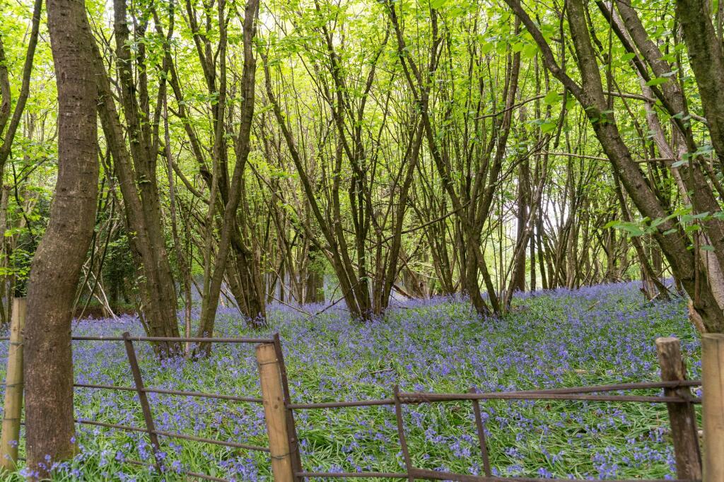 Additional image 33 of Beacon Lane, Rednal, B45