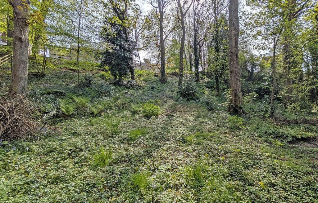 Additional image 27 of The Orchards, Bingley