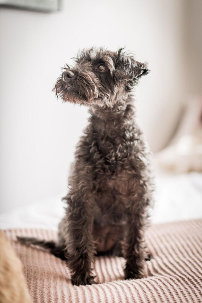 Additional image 26 of Hill Village Road, Sutton Coldfield, West Midlands, B75 5JH