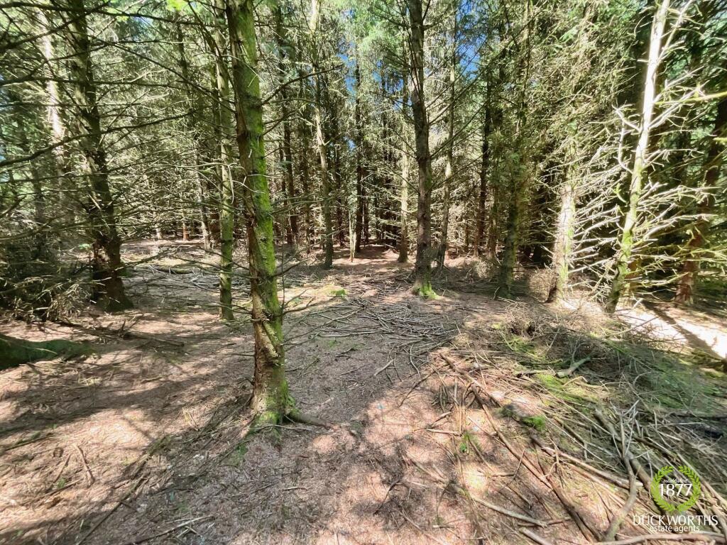 Additional image 8 of Bolton Road, Darwen, BB3