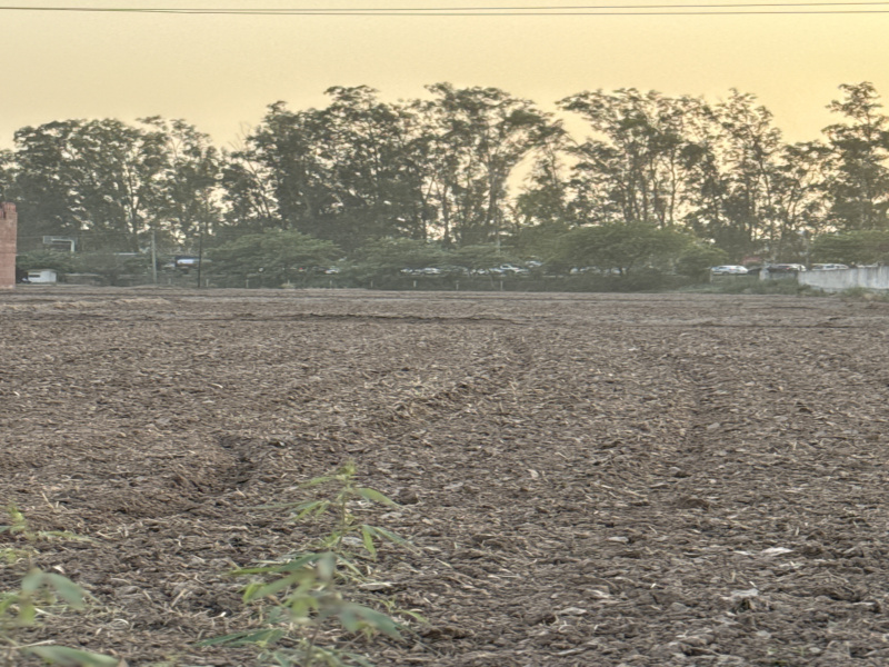 Additional image 3 of Zirakpur, Panchkula