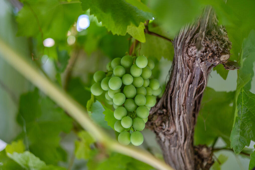 Additional image 21 of Bathford Hill, BATH, BA1