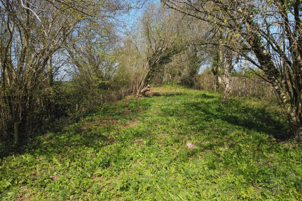 Additional image 24 of Forge Well, Stickleball Hill, East Pennard