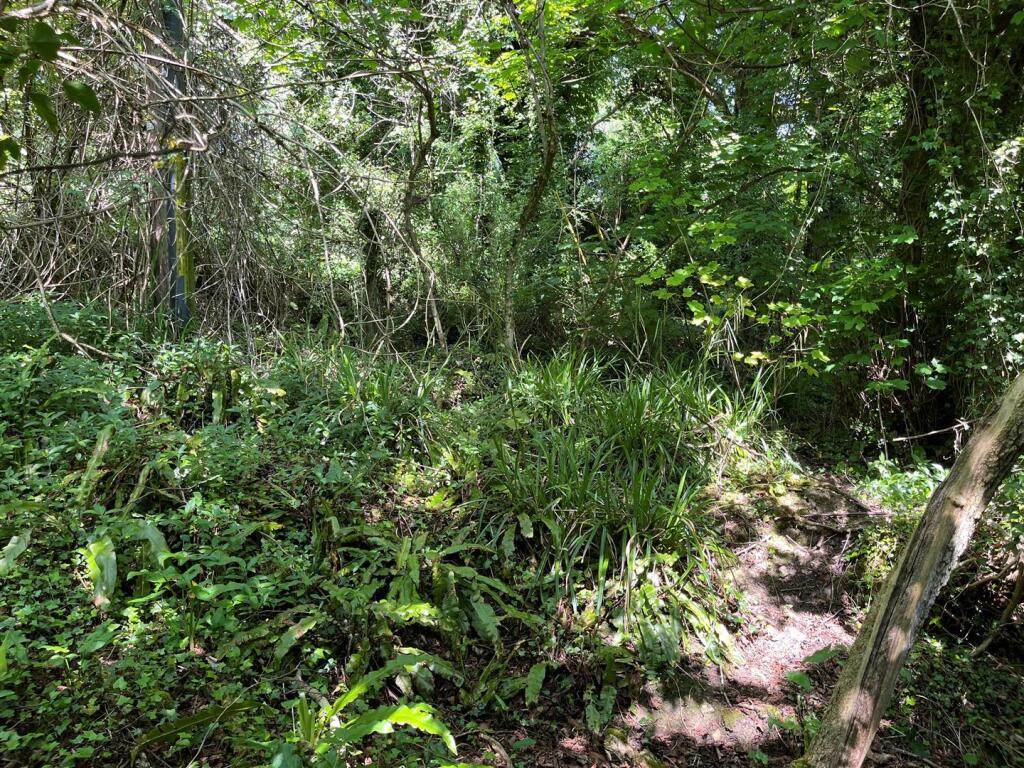 Additional image 2 of Belcombe, Avoncliff, Bradford-On-Avon