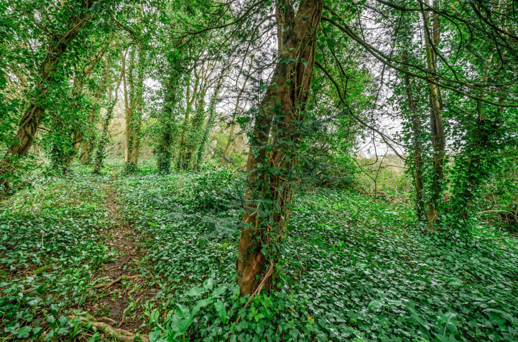 Additional image 11 of Rashwood Lane, Mells, BA11