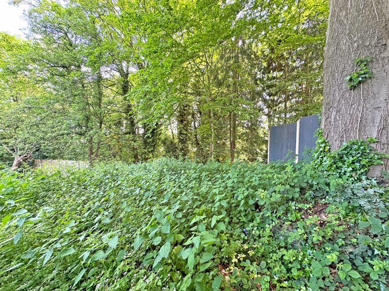 Additional image 34 of Charlemont Avenue, West Bromwich