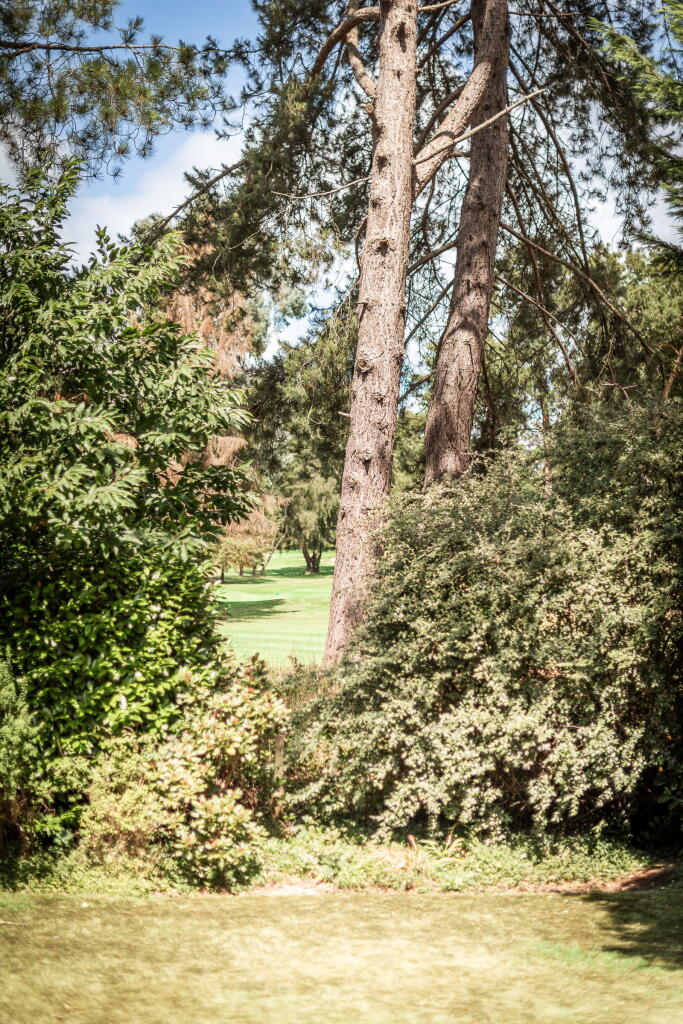 Additional image 64 of Tamworth Road, Sutton Coldfield, B75 6DJ