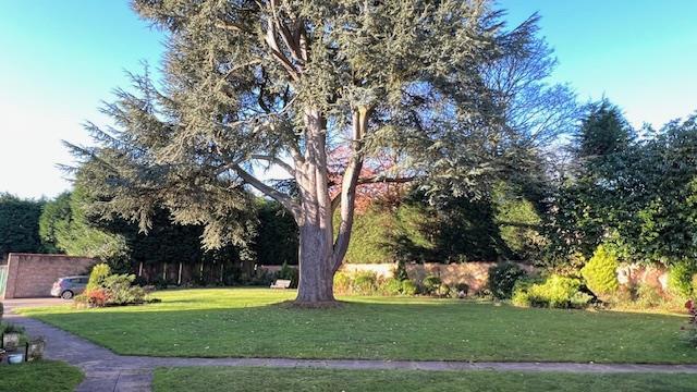 Additional image 19 of Four Oaks Road, Four Oaks, Sutton Coldfield