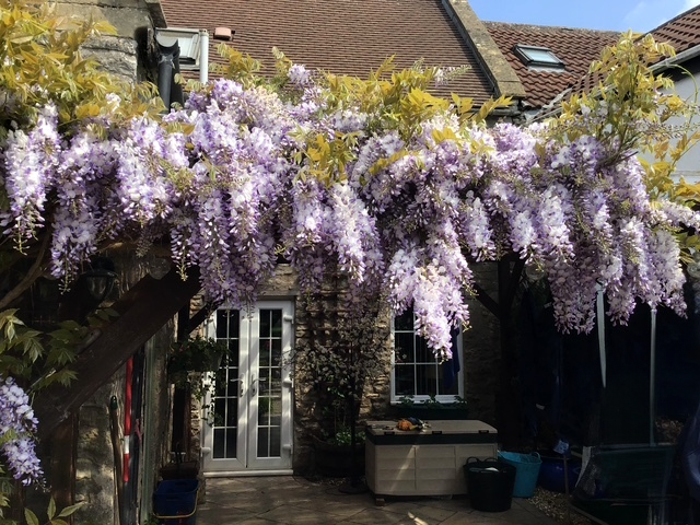 Additional image 21 of Stoney Stratton