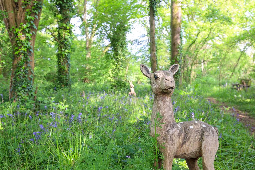 Additional image 3 of Woodlands, Sparkford, Somerset, BA22