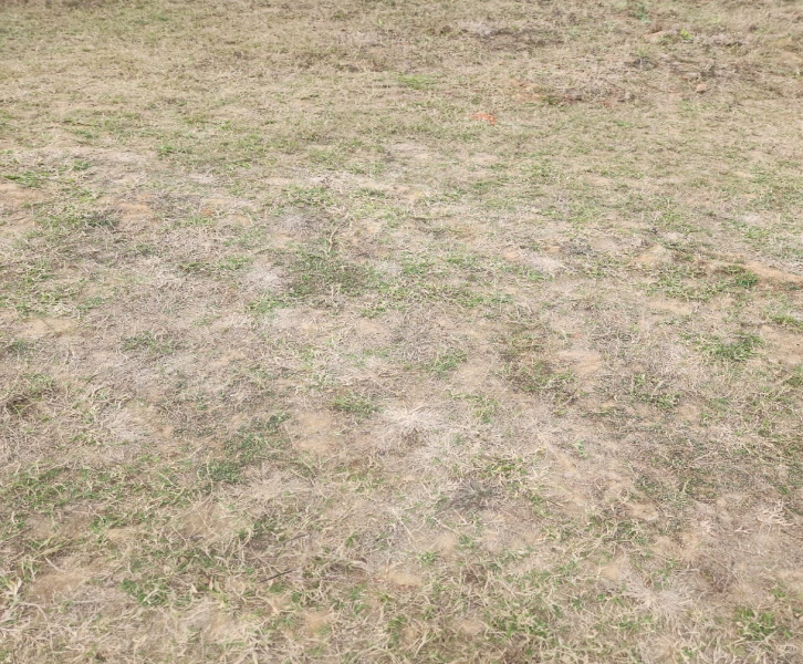 Additional image 2 of Naubatpur, Patna