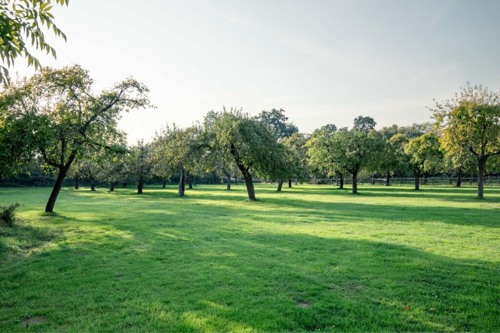 Additional image 32 of Sparkford Hall