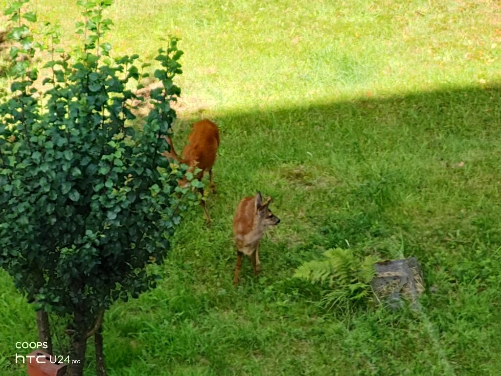 Additional image 24 of Tweedy Street, BD15