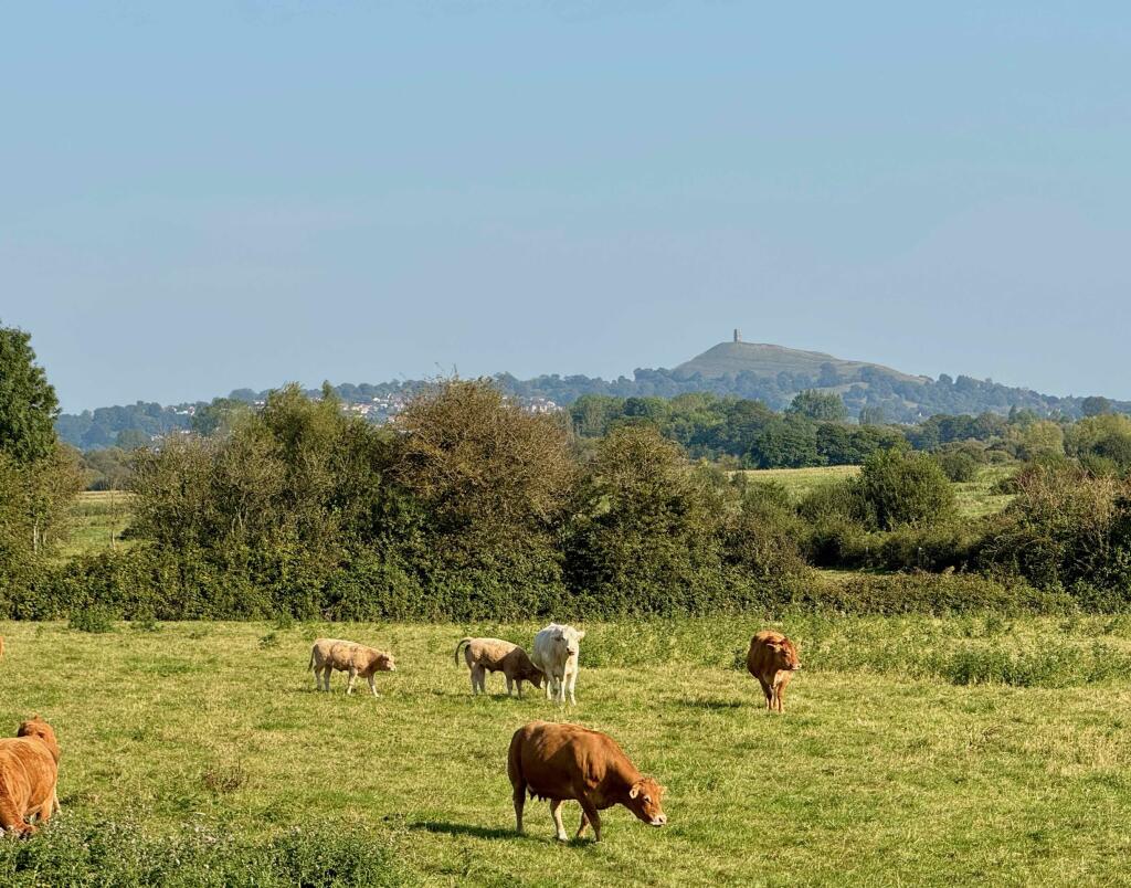 Additional image 24 of Ashcott Road, Meare, Glastonbury