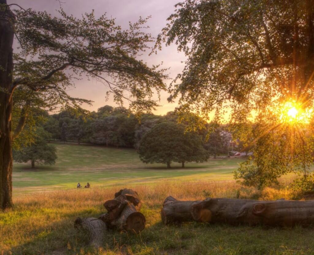 Additional image 15 of Woodlands, Warley Woods