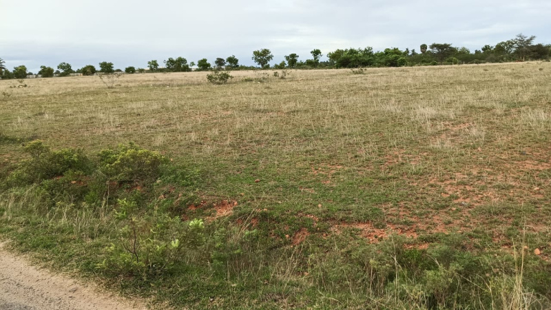 Property image for Annur, Coimbatore