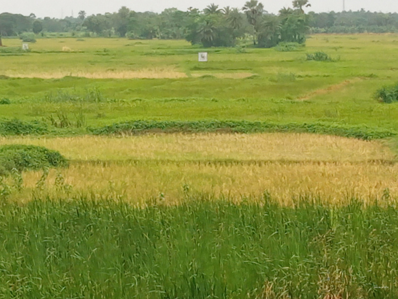 Additional image 2 of Baruipur, Kolkata