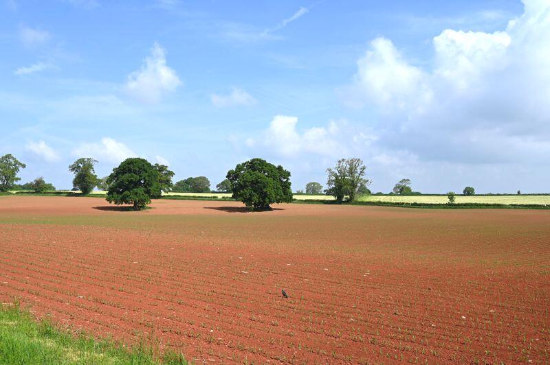 Additional image 18 of Linkmead, Stratton On Fosse