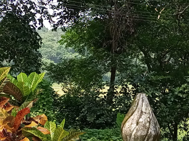 Additional image 3 of Tivim, North Goa, Goa