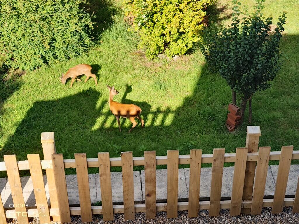 Additional image 23 of Tweedy Street, BD15