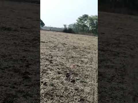 Additional image 2 of Mouza Shankarpur, Nagpur