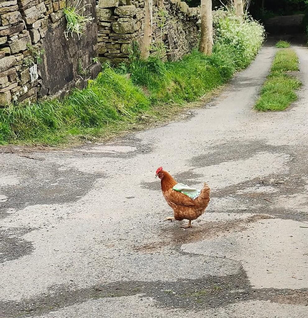 Additional image 27 of Close Head, Thornton, Bradford