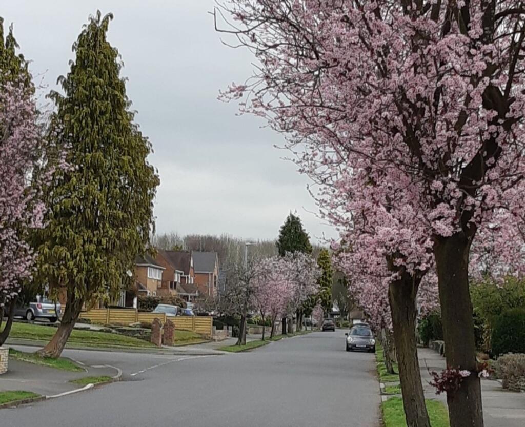 Additional image 38 of Wychwood Avenue, Knowle, B93