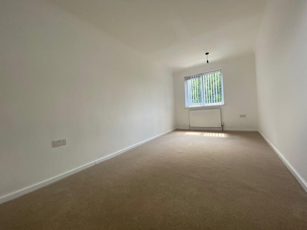 Additional image 5 of Hornbeam, Tamworth