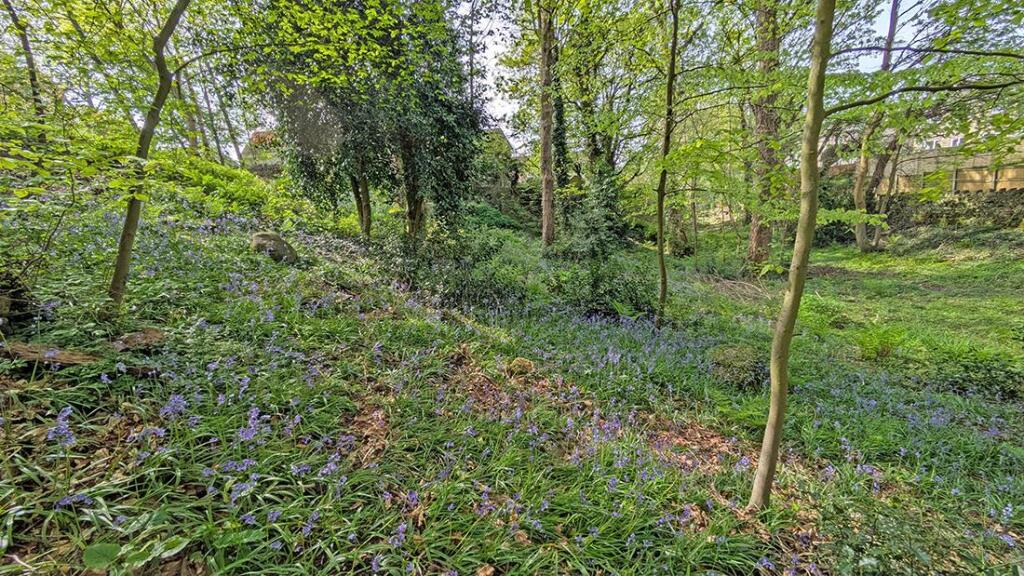 Additional image 26 of The Orchards, Bingley