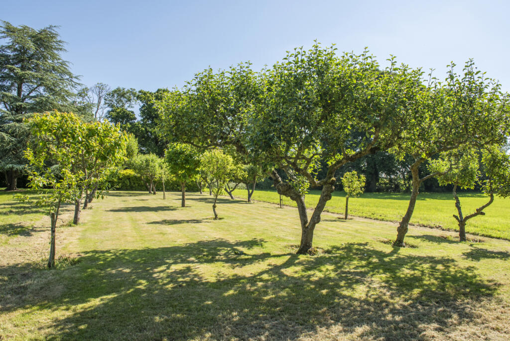 Additional image 24 of Thorne, Somerset, BA21