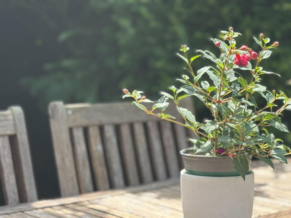 Additional image 25 of 3 Hill Deverill, Warminster BA12 7EF